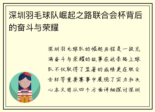 深圳羽毛球队崛起之路联合会杯背后的奋斗与荣耀