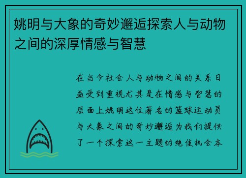 姚明与大象的奇妙邂逅探索人与动物之间的深厚情感与智慧